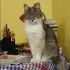 Отзыв от Лера Фетисова